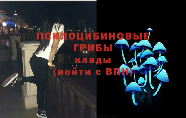 спиды Алексеевка