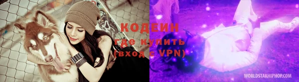 спиды Арсеньев