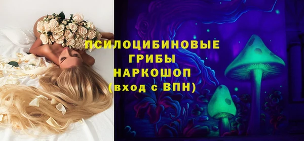 спиды Алексеевка