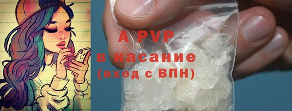 молекула духа Медвежьегорск